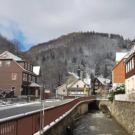 Am Fluss Mit Traumhafter Dachterrasse ,garten Und Grill 度假居 Walkenried