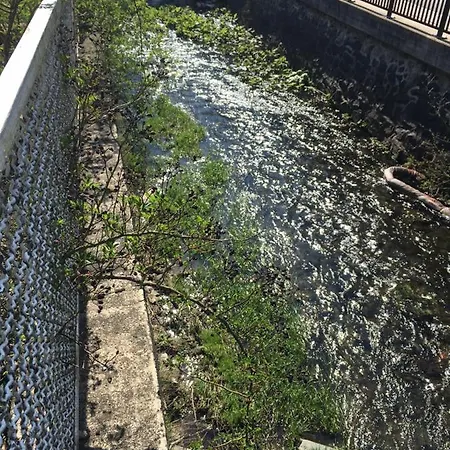 بيت للعطل Am Fluss Mit Traumhafter Dachterrasse ,garten Und Grill *