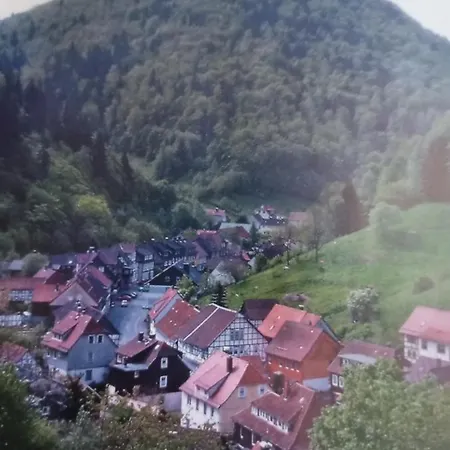 Am Fluss Mit Traumhafter Dachterrasse ,garten Und Grill Holiday home *