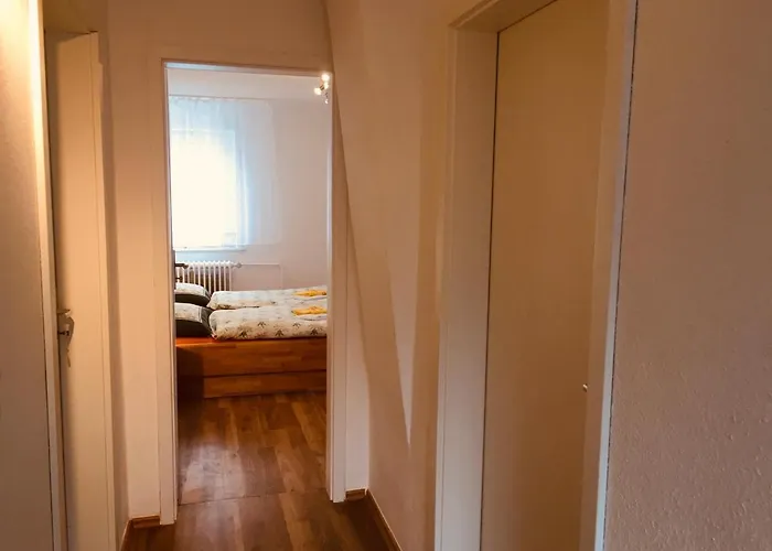 Am Fluss Mit Traumhafter Dachterrasse ,garten Und Grill Walkenried