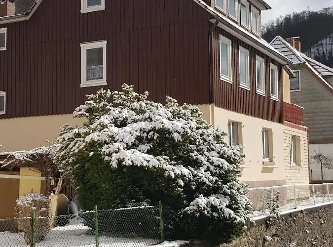 Σπίτι διακοπών Am Fluss Mit Traumhafter Dachterrasse ,garten Und Grill Walkenried