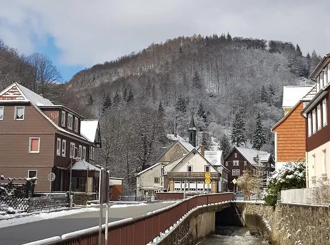 Am Fluss Mit Traumhafter Dachterrasse ,garten Und Grill Σπίτι διακοπών Walkenried