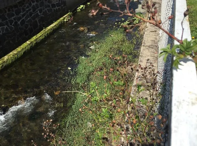 Am Fluss Mit Traumhafter Dachterrasse ,garten Und Grill Σπίτι διακοπών
